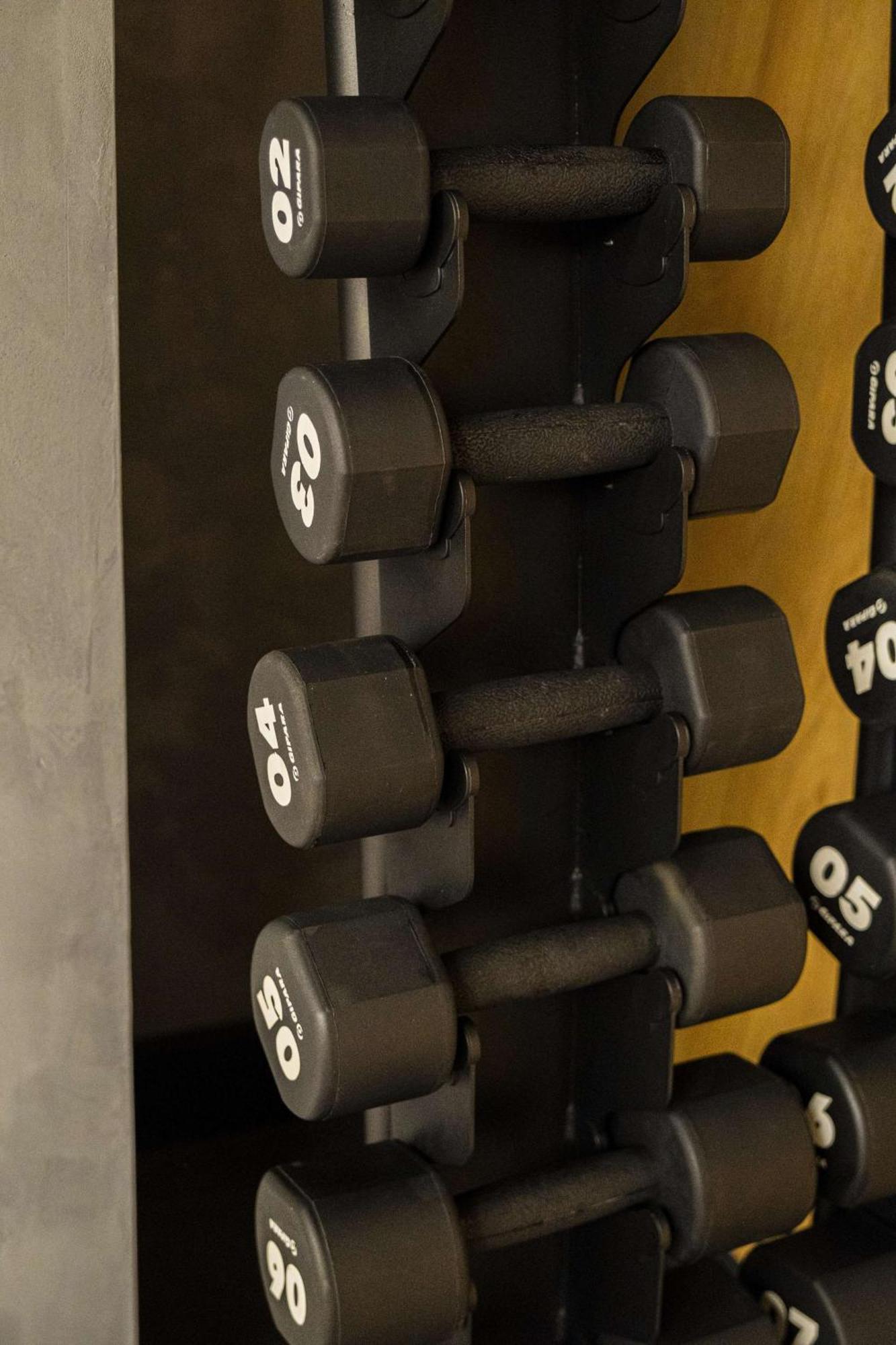 布拉索夫奥鲁姆丽笙酒店 外观 照片 Dumbbells